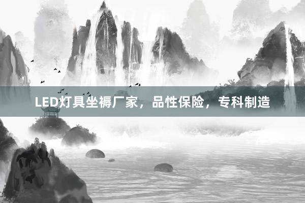 LED灯具坐褥厂家，品性保险，专科制造