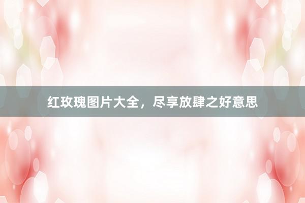 红玫瑰图片大全，尽享放肆之好意思