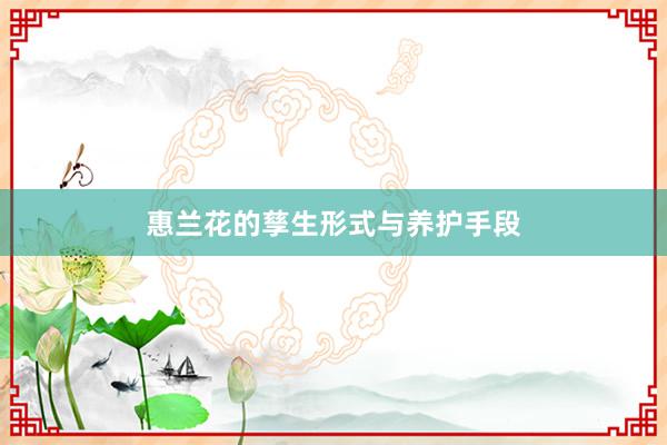 惠兰花的孳生形式与养护手段